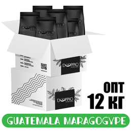 Фото кофе Опт Гватемала Maragogype 12 кг